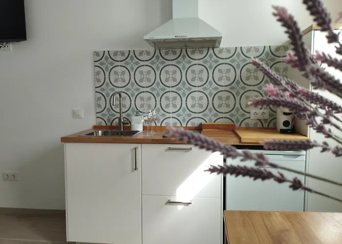 Mirador De Trafalgar Conil Apart-hotel Conil De La Frontera