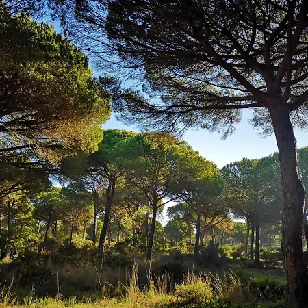 Mirador De Trafalgar Conil 4* Conil De La Frontera