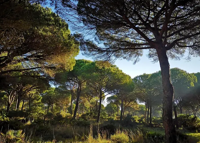 Mirador De Trafalgar Conil 4* Conil De La Frontera